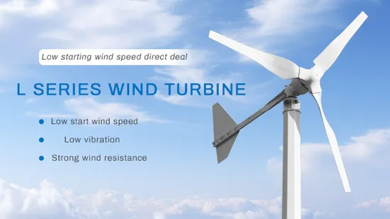 2kw 3kw 5kw Windmill Generator 24V 48V Wind Turbines with Charge Controller